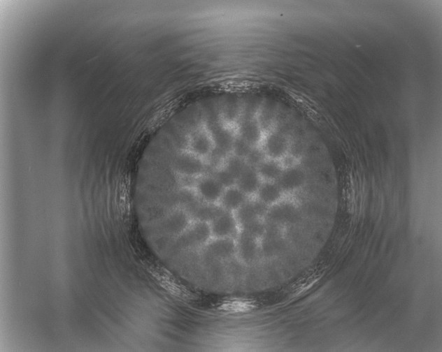 X0000057060610200509161453