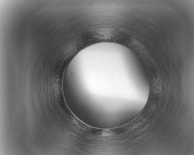 X0000057060612200509161453