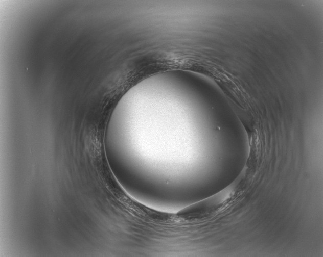 X0000057060613200509161453