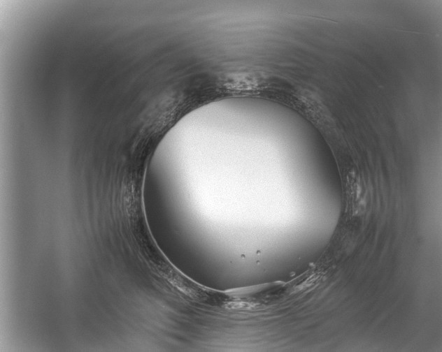 X0000057060614200509161453