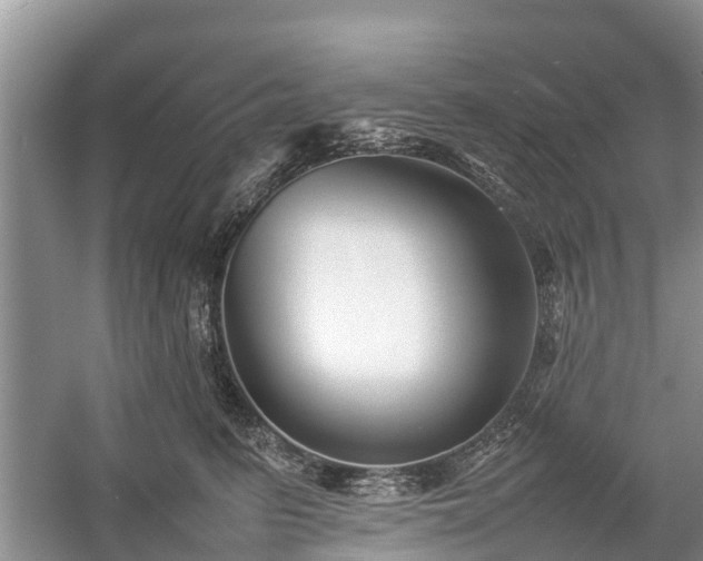 X0000057060615200509161453