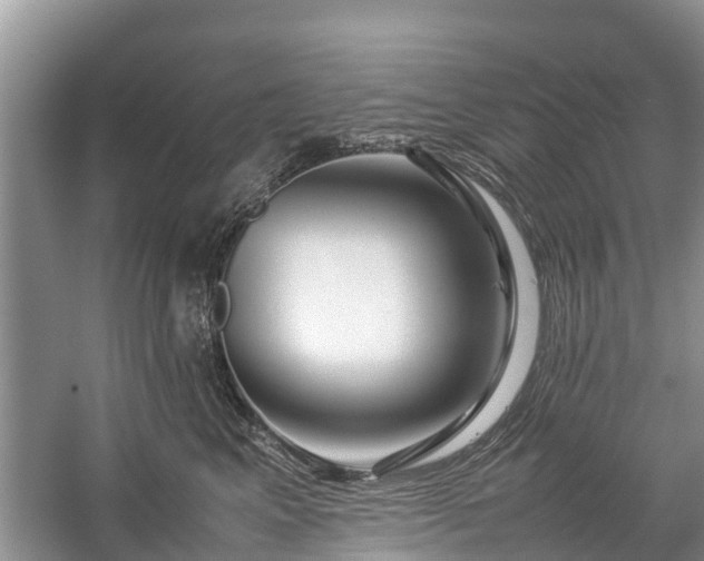 X0000057060617200509161453