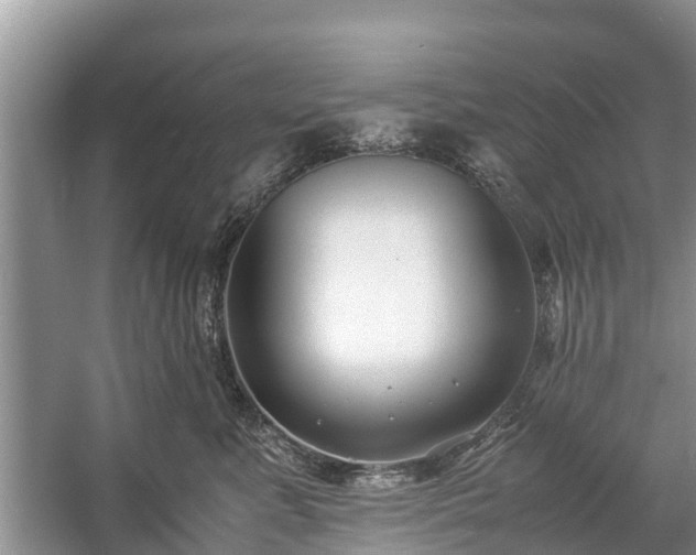 X0000057060619200509161453