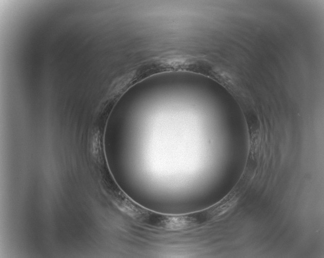 X0000057060623200509161453