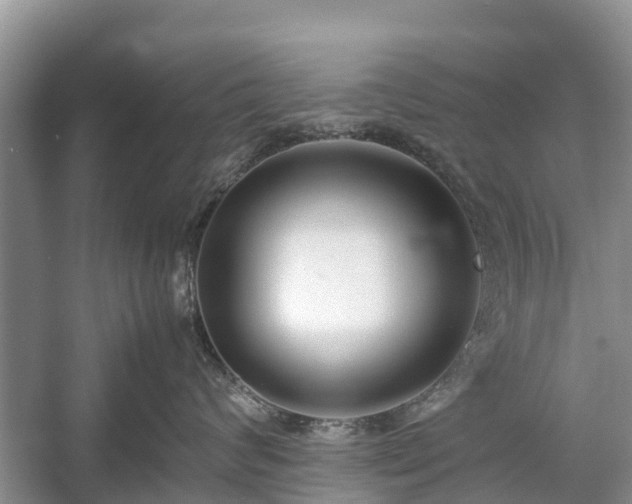 X0000057060624200509161453