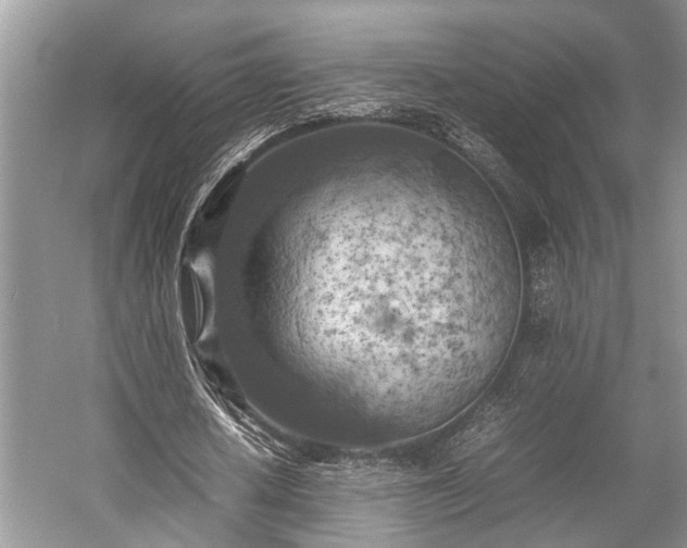 X0000057060626200509161452