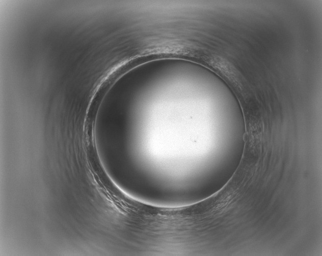 X0000057060628200509161452