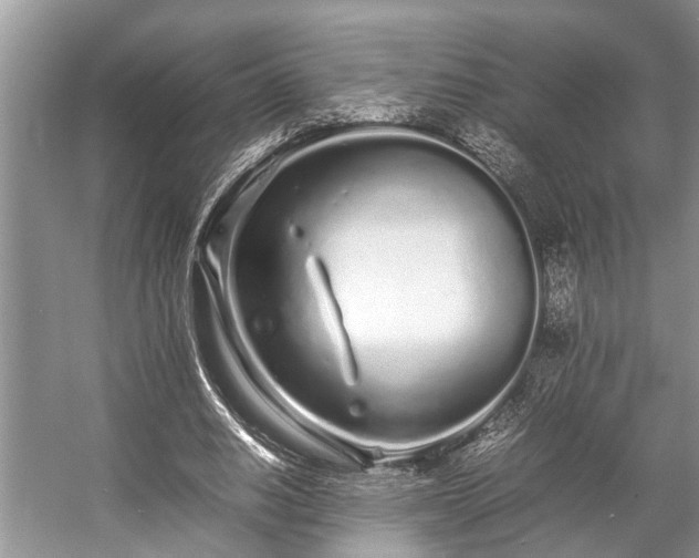 X0000057060630200509161452