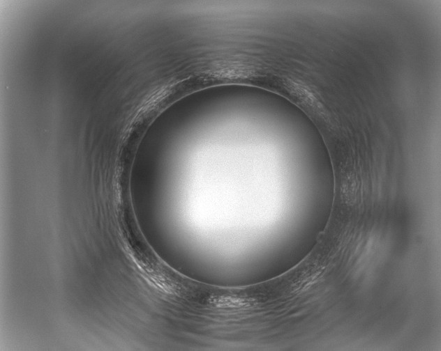 X0000057060635200509161453