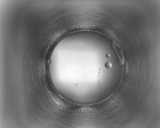 X0000057060636200509161453