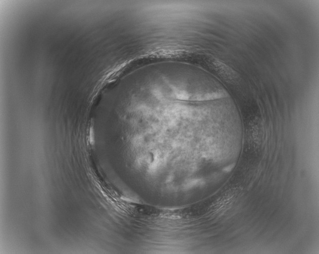 X0000057060640200509161453