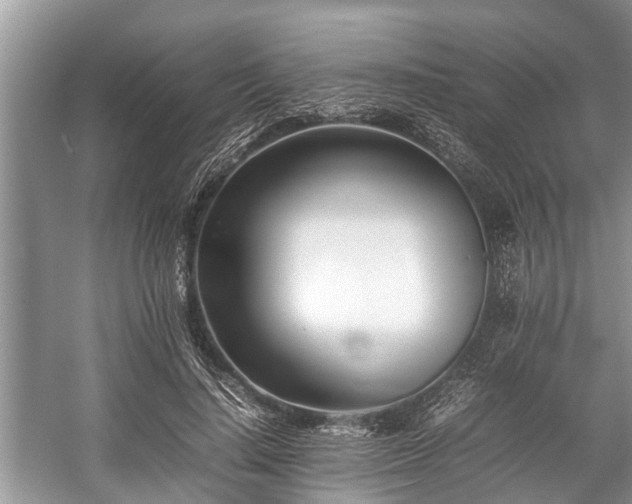 X0000057060644200509161453