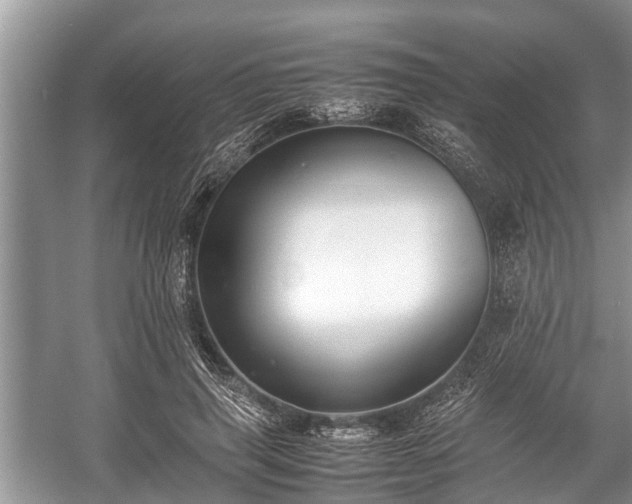 X0000057060645200509161453