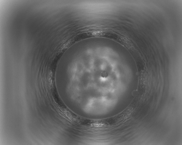 X0000057060650200509161453