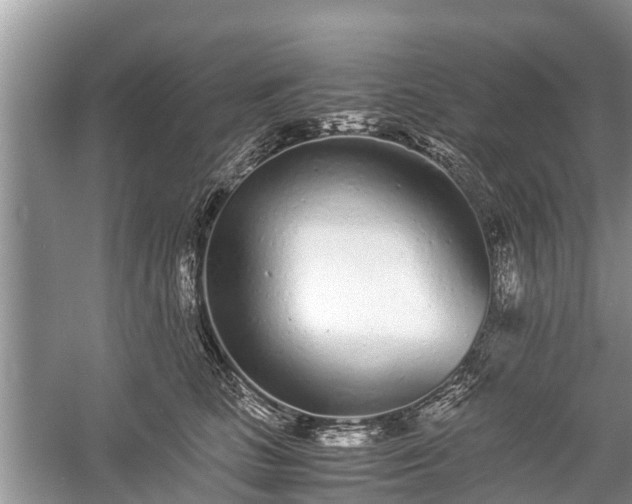 X0000057060661200509161453