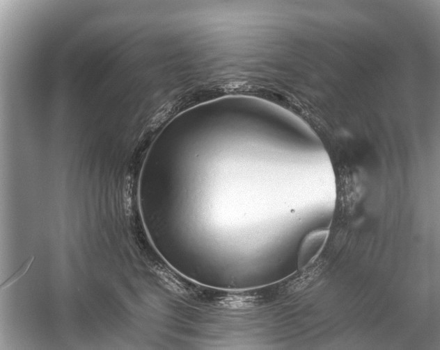 X0000057060664200509161453