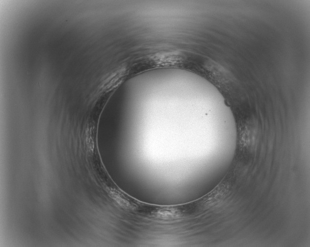 X0000057060666200509161453