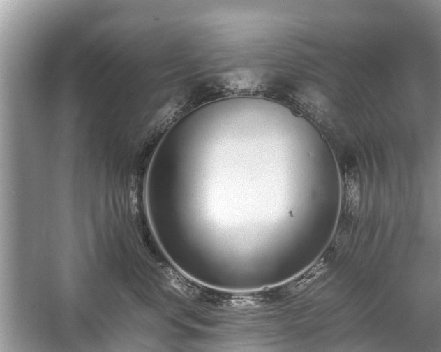 X0000057060668200509161453