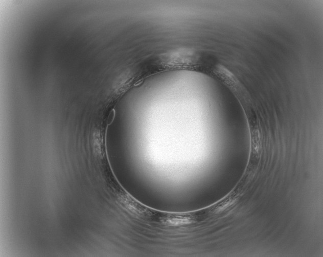 X0000057060669200509161453