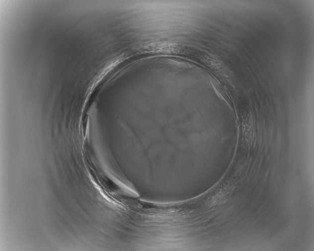 X0000057060674200509161452