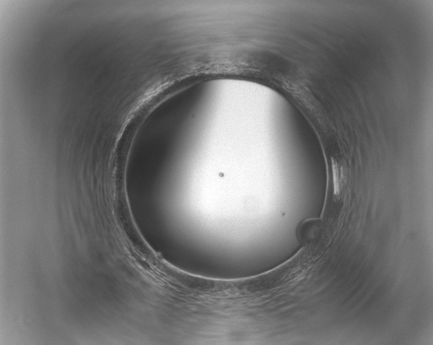 X0000057060675200509161452