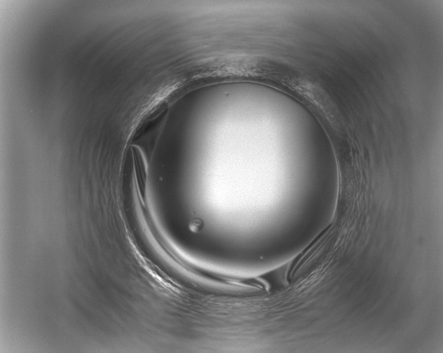 X0000057060677200509161452