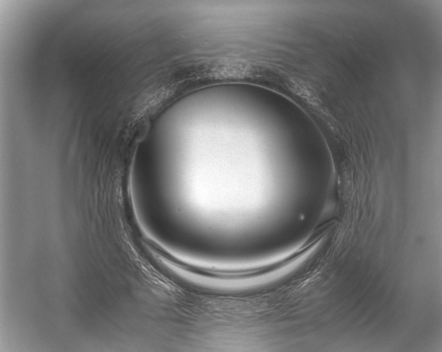 X0000057060681200509161452