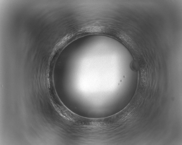 X0000057060682200509161452