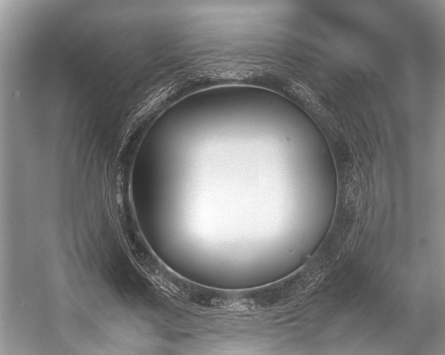 X0000057060683200509161452