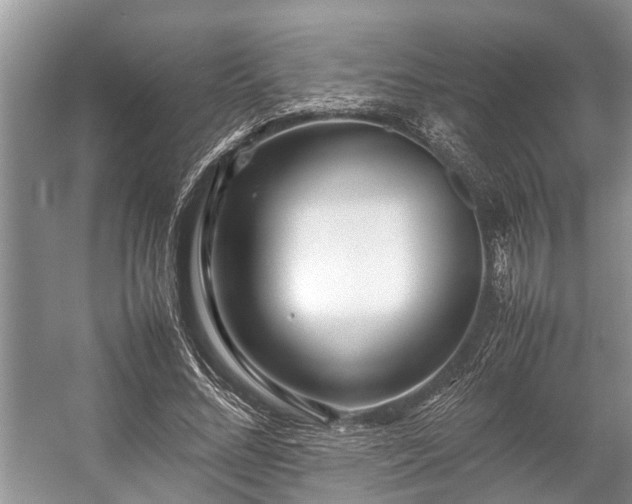 X0000057060684200509161452