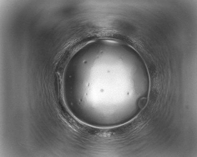 X0000057060687200509161452