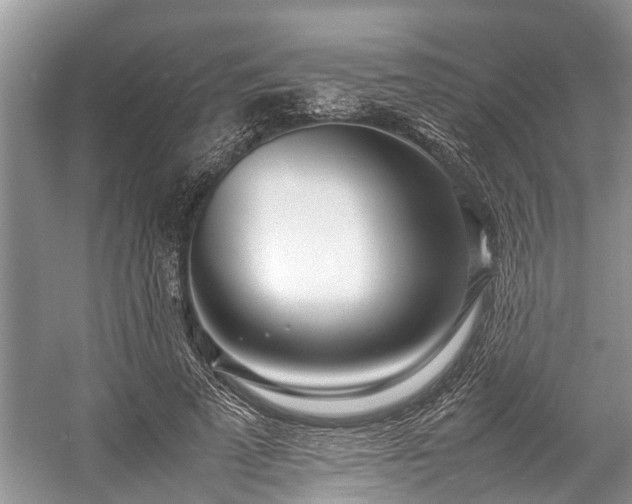 X0000057060689200509161452