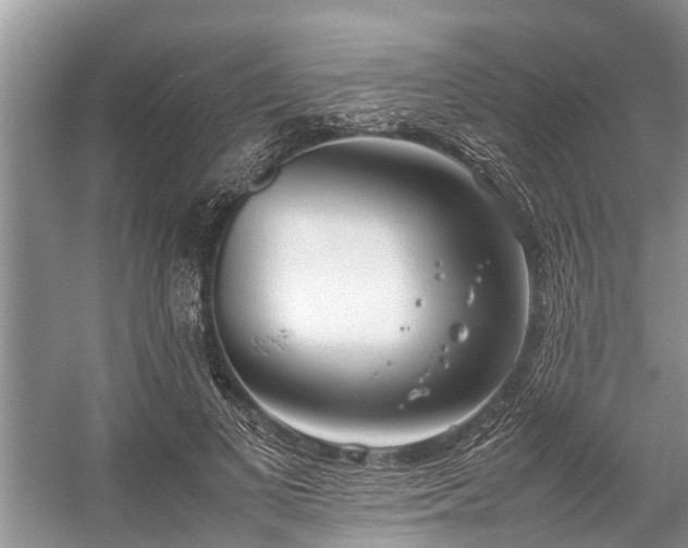 X0000057060693200509161452