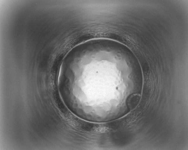 X0000057060695200509161452