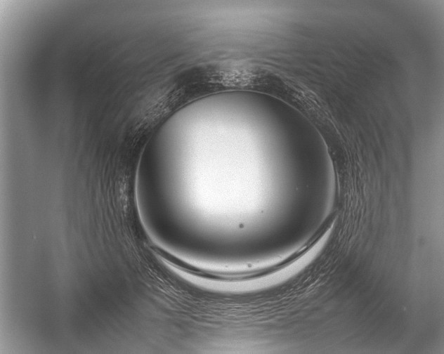 X0000057060697200509161452