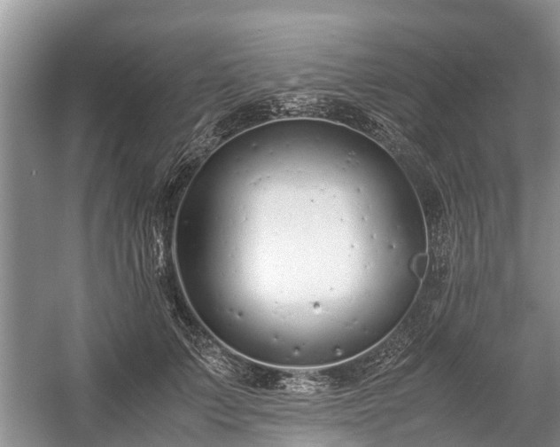 X0000057060703200509161452