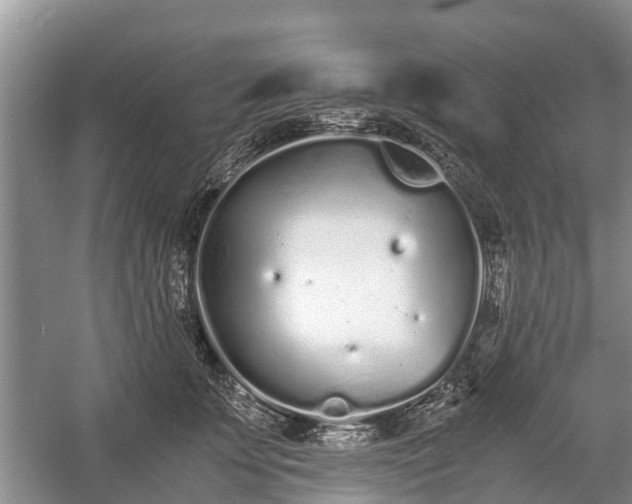 X0000057060707200509161452