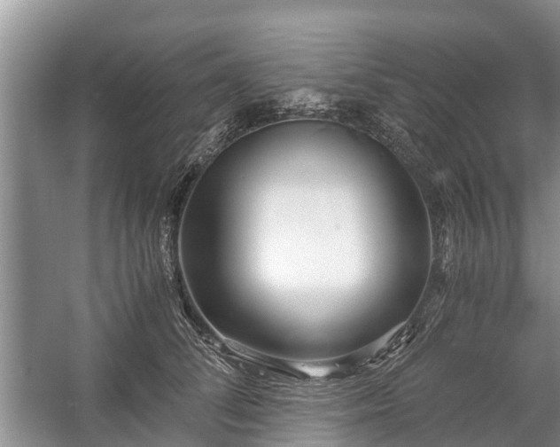 X0000057060708200509161452