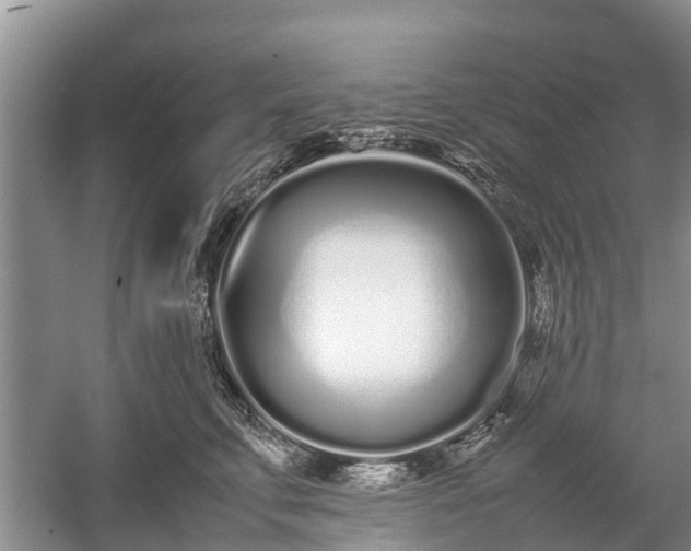 X0000057060711200509161452