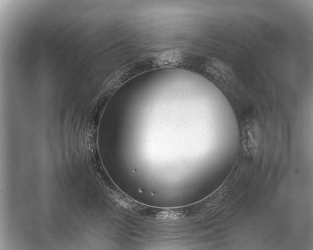 X0000057060714200509161452