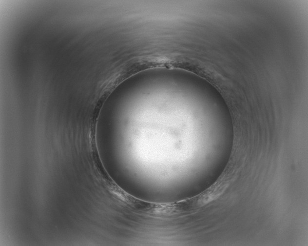 X0000057060720200509161452