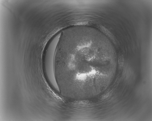 X0000057060721200509161451