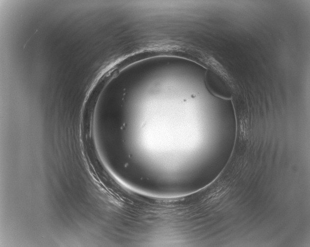 X0000057060724200509161451