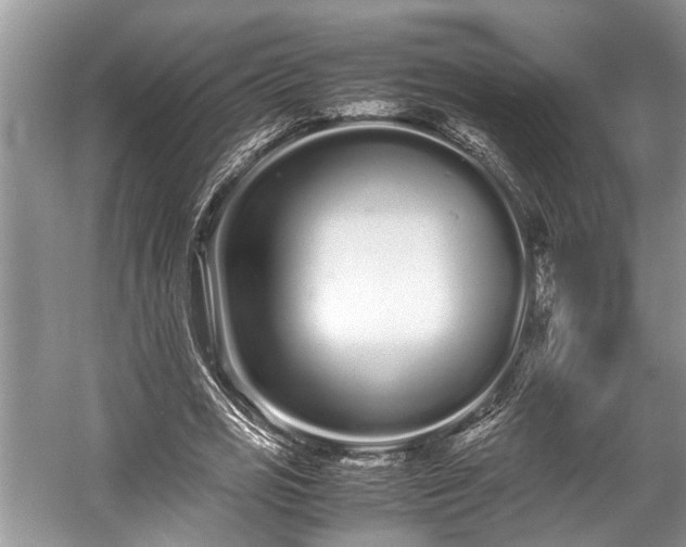 X0000057060725200509161451