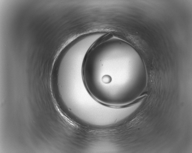 X0000057060726200509161451