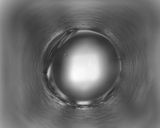 X0000057060731200509161451