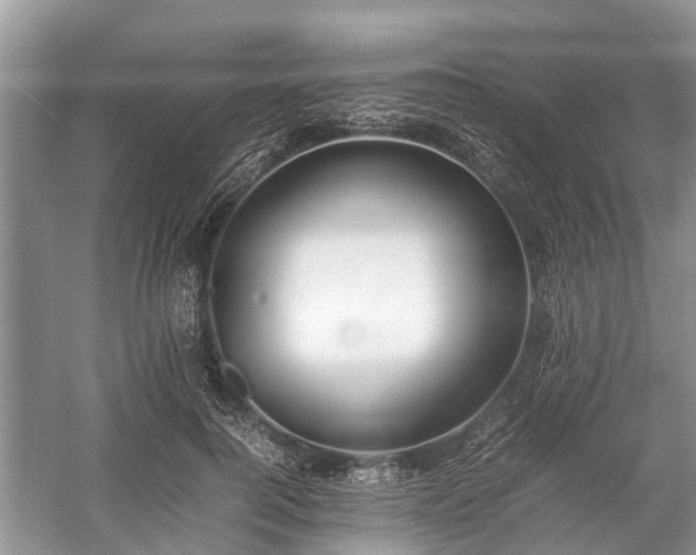 X0000057060744200509161451