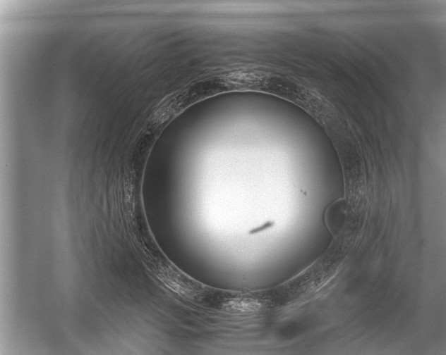 X0000057060749200509161451