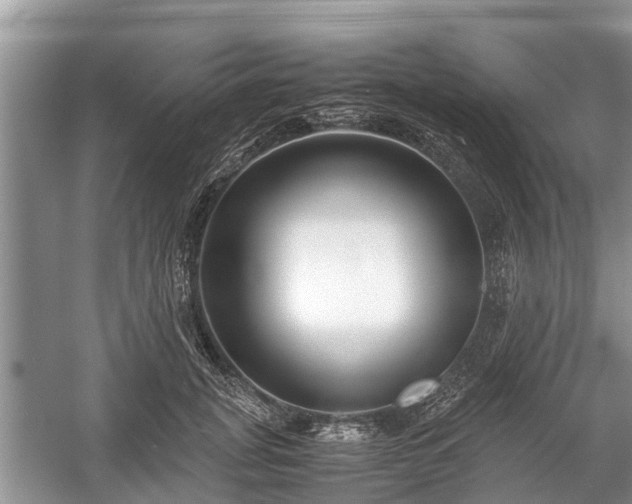 X0000057060751200509161451