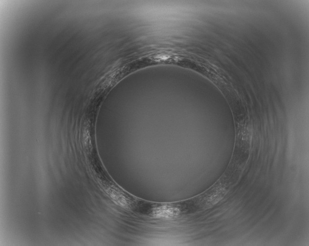 X0000057060754200509161451